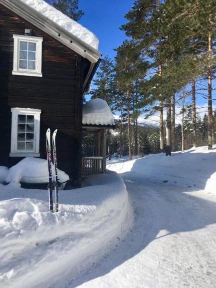 Breiva Gjestegaard Og Glamping Bo (Telemark) Dış mekan fotoğraf